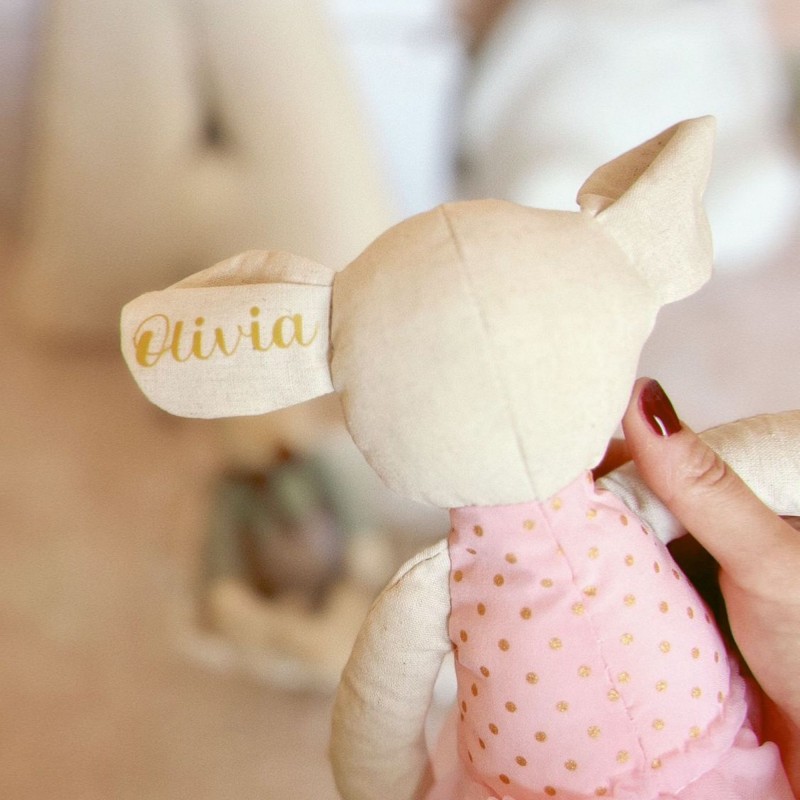 Pack regalo ratita, chupetero y babero