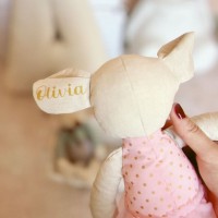 Pack regalo ratita, chupetero y babero