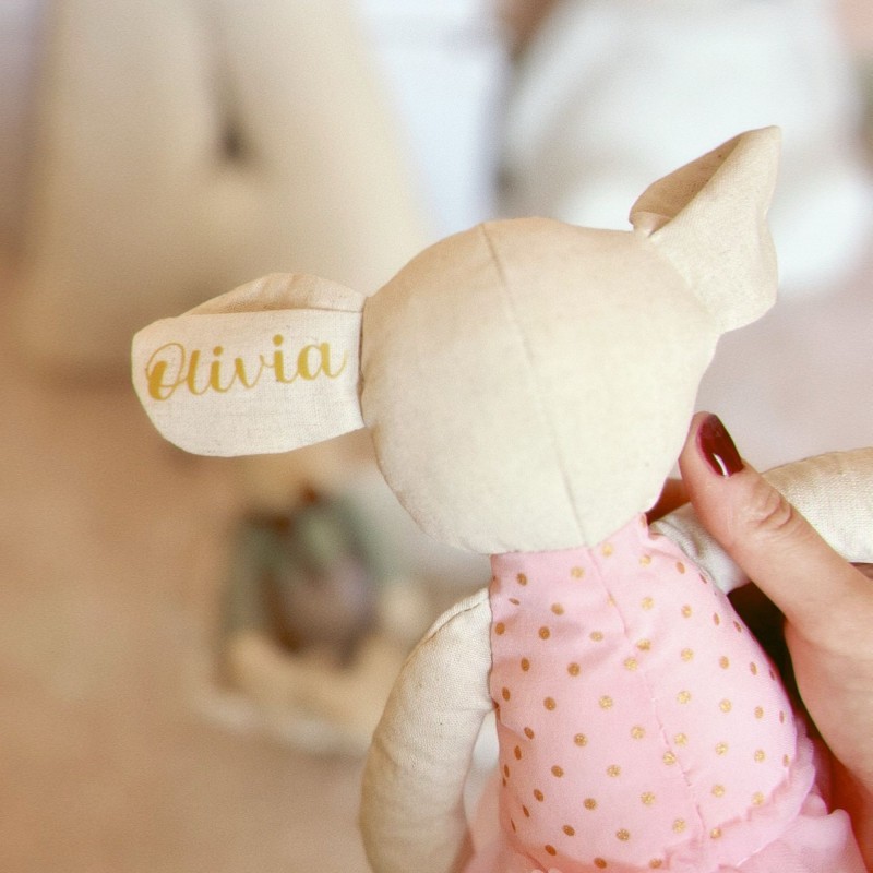 Pack ratita, babero y muselina